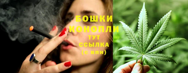 шишки Балахна