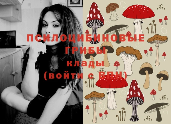 шишки Балахна