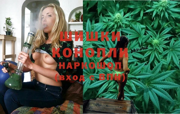 шишки Балахна