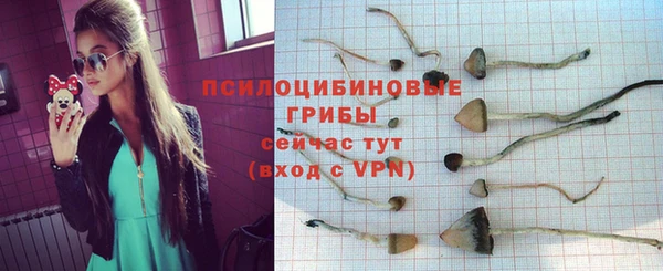 сатива Балабаново